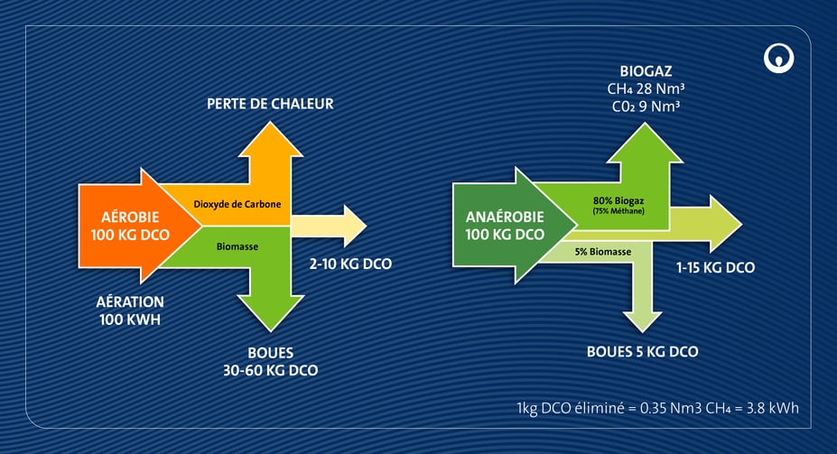 FR_VWS_2024_200 VEOLIA HEATLOSS AND BIOGAS DIAGRAM REMAKE V4 AW_FR