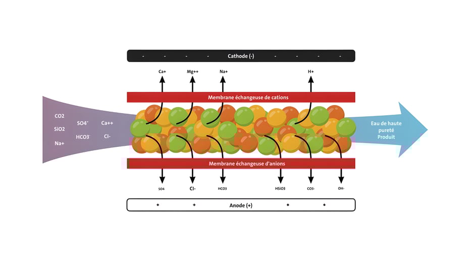 Fr_Caustic Blog Graphics (1)