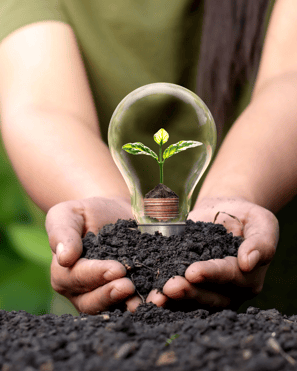 environnement