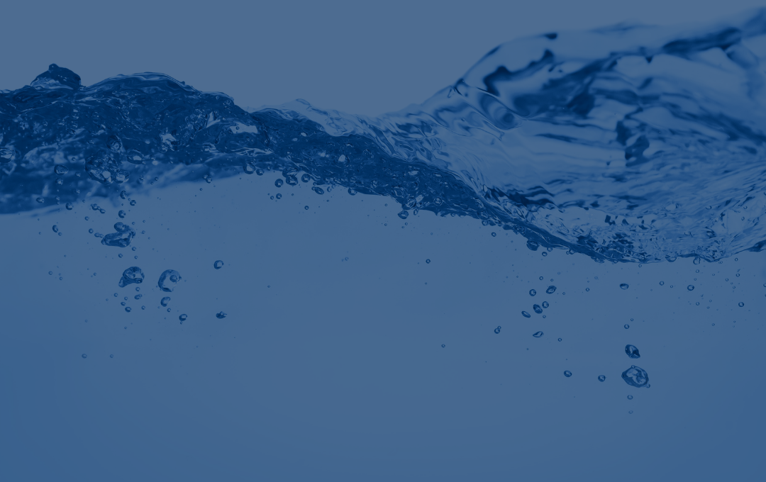 nouvelle directive européenne 2024/3019